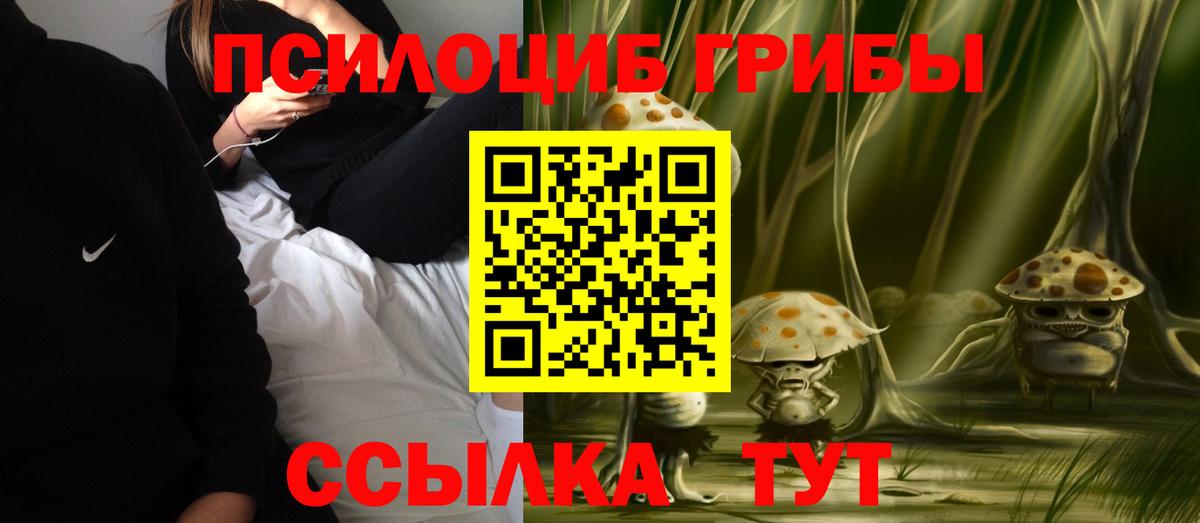 Псилоцибиновые грибы Psilocybine cubensis  Вход с VPN  Новодвинск 